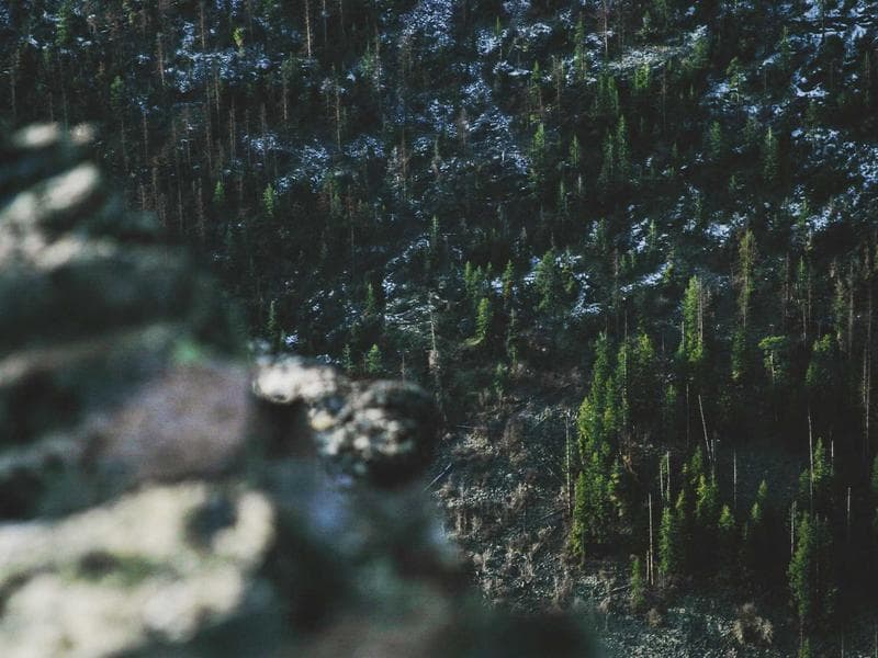 여행 꿀팁 제목 5